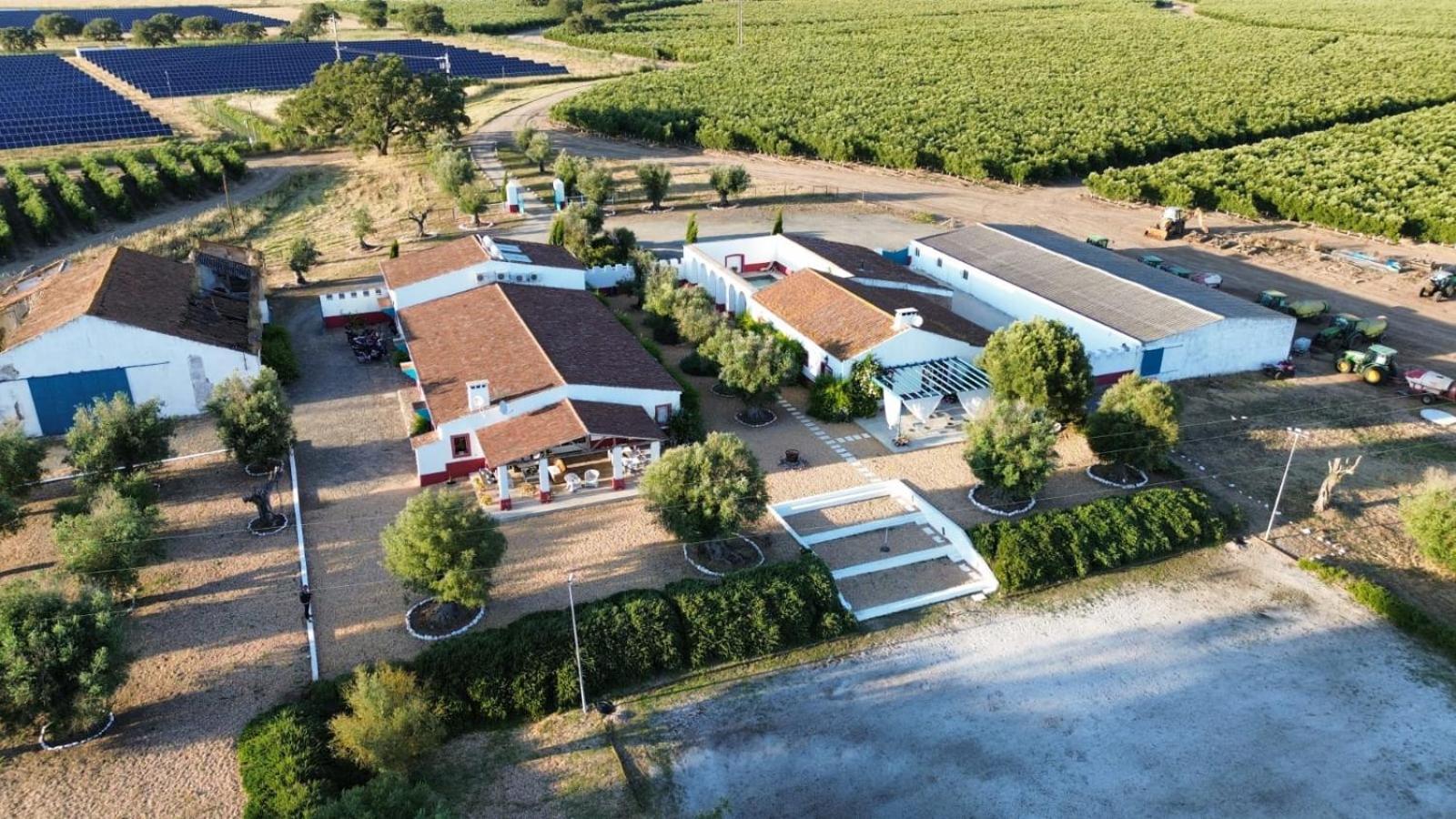 Hotel Quinta Da Chamine Ferreira Do Alentejo Exteriér fotografie