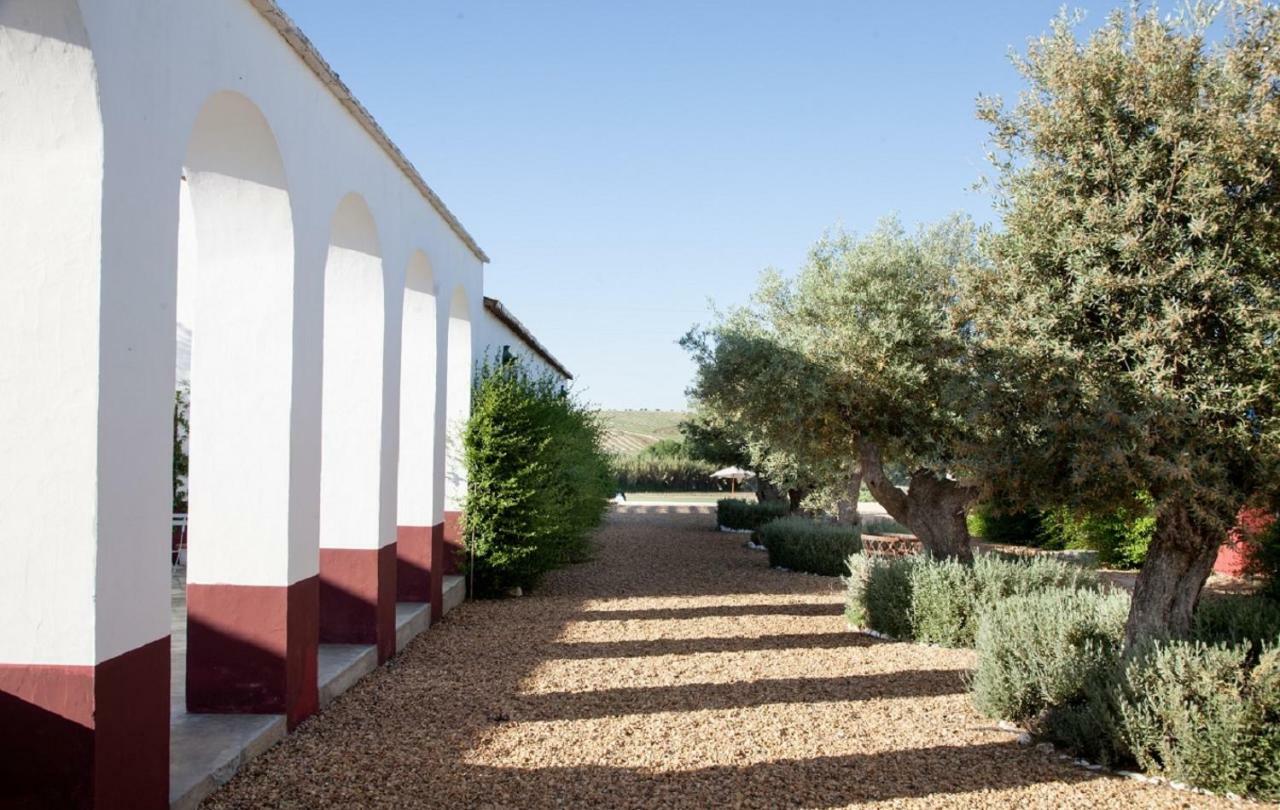 Hotel Quinta Da Chamine Ferreira Do Alentejo Exteriér fotografie